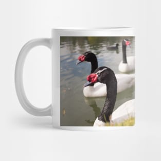 1515 Swan Mug